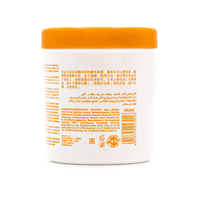 Raywell Hidra Masque Cheveux Secs 1000ml